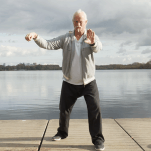 tao reinoud tai chi
