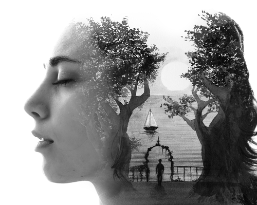 paintography.,a,portrait,combined,with,a,painting